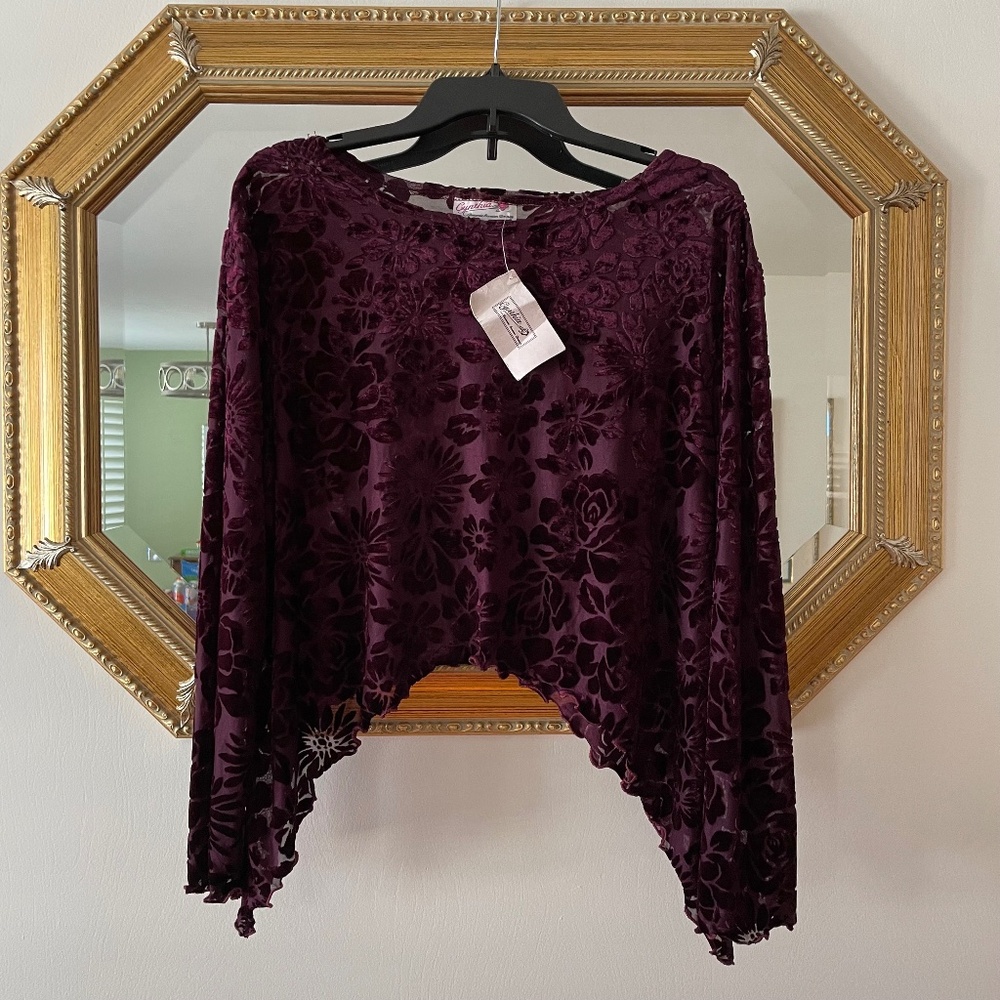Burgundy Velvet Burnout Pullover Top